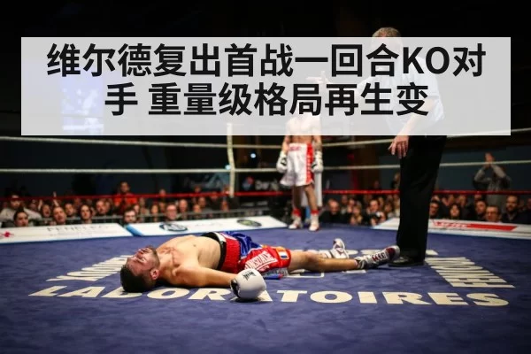 boxer knockout