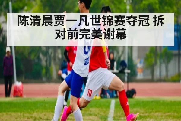 陈清晨贾一凡世锦赛夺冠 拆对前完美谢幕