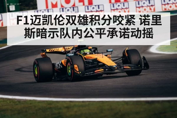 F1迈凯伦双雄积分咬紧 诺里斯暗示队内公平承诺动摇